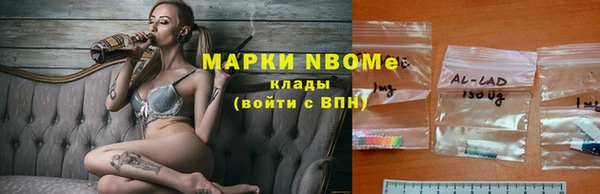 шишки Абинск