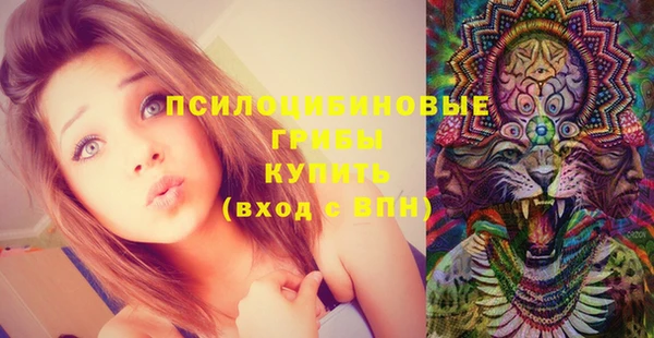 шишки Абинск