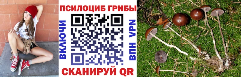 Галлюциногенные грибы мицелий Лысково