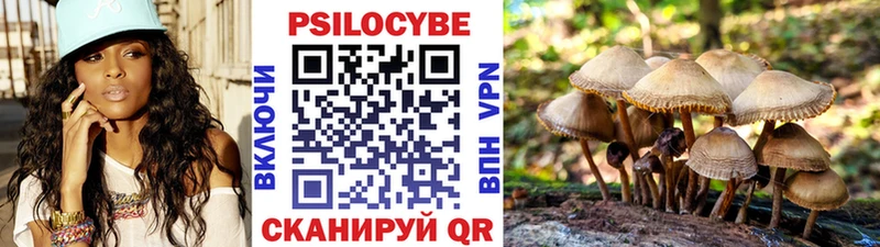 магазин Лысково hydra ONION Псилоцибиновые грибы мицелий